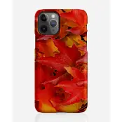 Designer skal till Apple iPhone 11 Pro Max - Pat2457