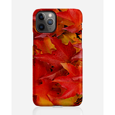 Designer skal till Apple iPhone 11 Pro Max - Pat2457