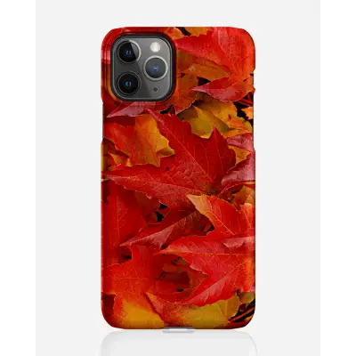 Designer skal till Apple iPhone 11 Pro Max - Pat2457