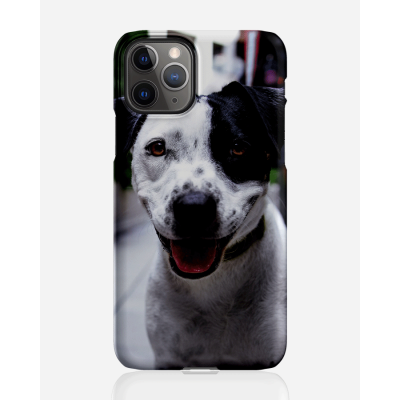 Designer skal till Apple iPhone 11 Pro Max - Pat2470