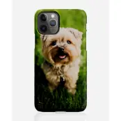 Designer skal till Apple iPhone 11 Pro Max - Pat2472