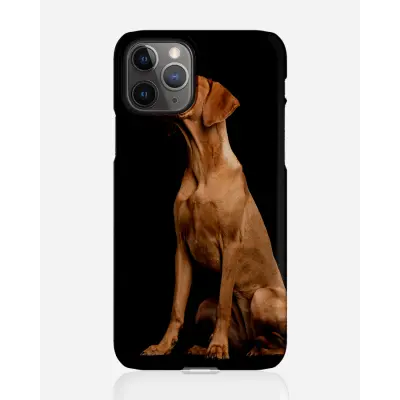 Designer skal till Apple iPhone 11 Pro Max - Pat2476