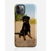 Designer skal till Apple iPhone 11 Pro Max - Pat2482