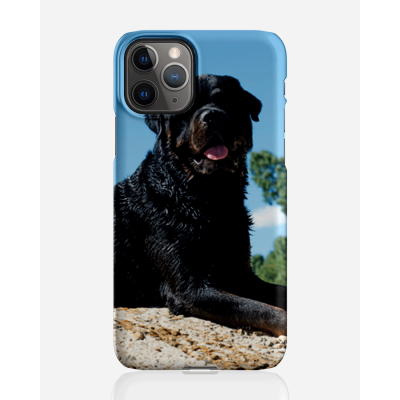 Designer skal till Apple iPhone 11 Pro Max - Pat2483