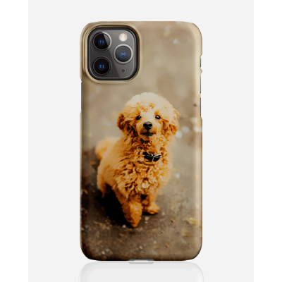 Designer skal till Apple iPhone 11 Pro Max - Pat2496