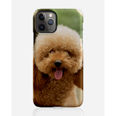 Designer skal till Apple iPhone 11 Pro Max - Pat2497