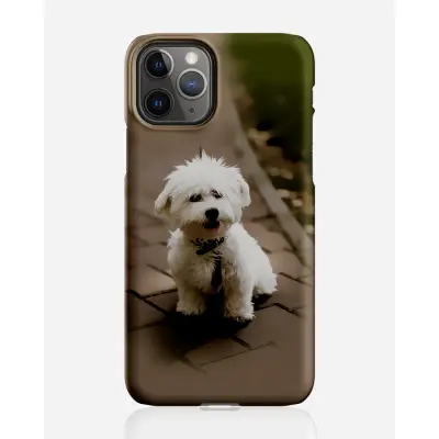 Designer skal till Apple iPhone 11 Pro Max - Pat2498