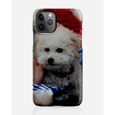 Designer skal till Apple iPhone 11 Pro Max - Pat2499