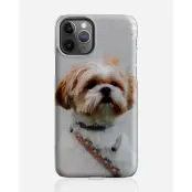 Designer skal till Apple iPhone 11 Pro Max - Pat2507