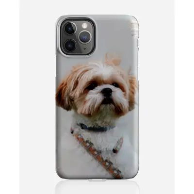 Designer skal till Apple iPhone 11 Pro Max - Pat2507