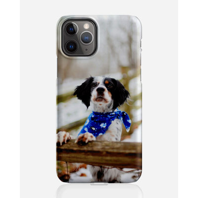 Designer skal till Apple iPhone 11 Pro Max - Pat2515