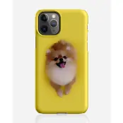 Designer skal till Apple iPhone 11 Pro Max - Pat2527