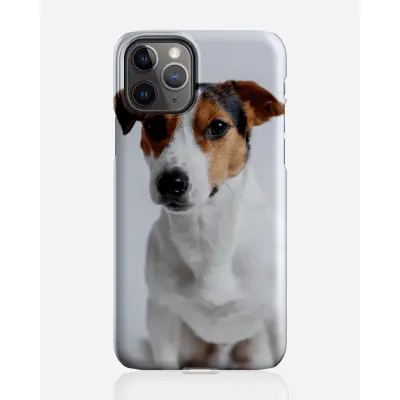 Designer skal till Apple iPhone 11 Pro Max - Pat2528