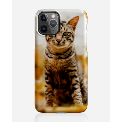 Designer skal till Apple iPhone 11 Pro Max - Pat2537