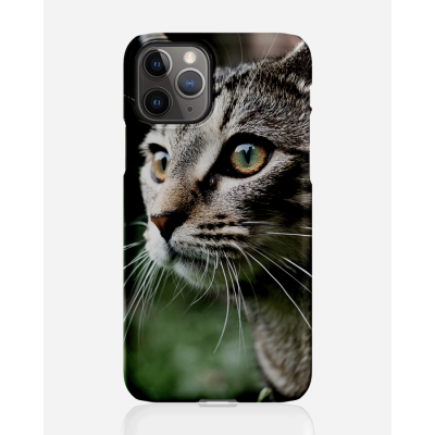 Designer skal till Apple iPhone 11 Pro Max - Pat2545