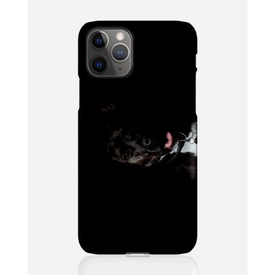Designer skal till Apple iPhone 11 Pro - Pat2473