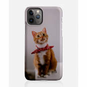 Designer skal till Apple iPhone 11 Pro - Pat2543