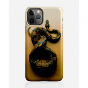 Designer skal till Apple iPhone 11 Pro - Pat2582