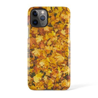 Svenskdesignat mobilskal till Apple iPhone 11 Pro - Pat2357