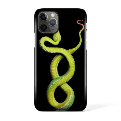 Svenskdesignat mobilskal till Apple iPhone 11 Pro - PatPat2583
