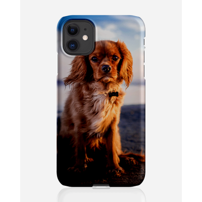 Designer skal till Apple iPhone 11 - Pat2469