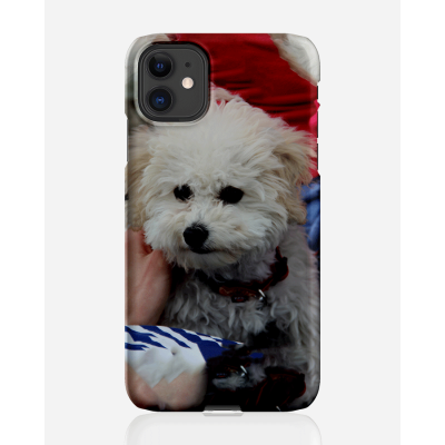 Designer skal till Apple iPhone 11 - Pat2499