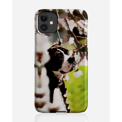 Designer skal till Apple iPhone 11 - Pat2500