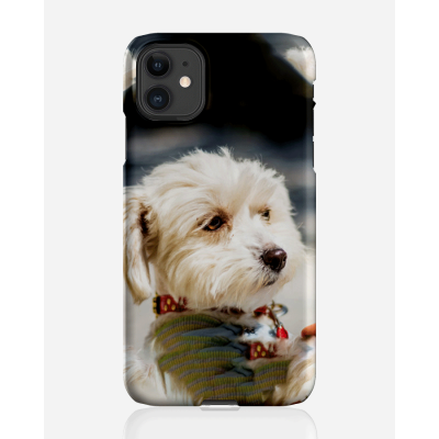 Designer skal till Apple iPhone 11 - Pat2526