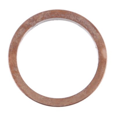 iPhone 12 Pro Max Kameraring