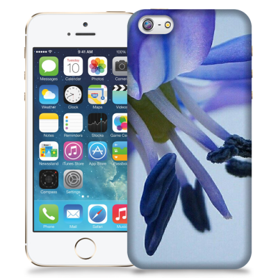 Skal till Apple iPhone 5/5S/SE - Blåstjärna