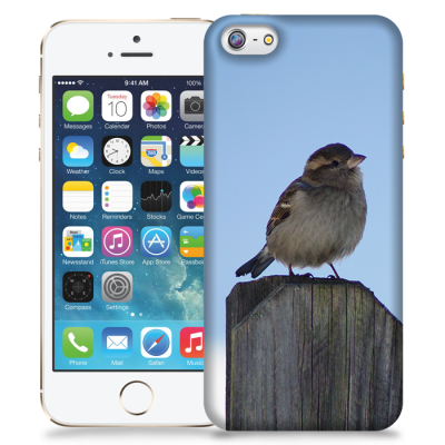 Skal till Apple iPhone 5/5S/SE - Gråsparv