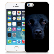 Skal till Apple iPhone 5/5S/SE - Labrador