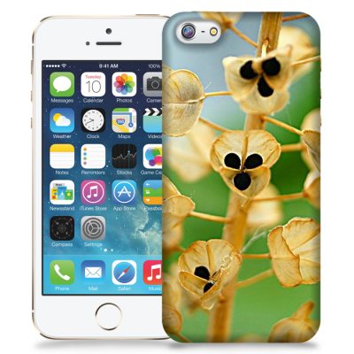 Skal till Apple iPhone 5/5S/SE - Pärlhyacint