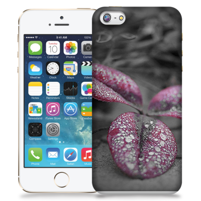 Skal till Apple iPhone 5/5S/SE - Rödbladig klöver