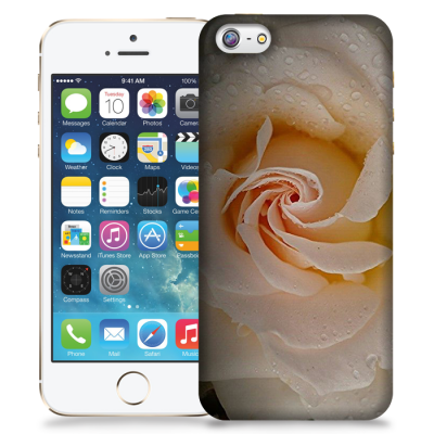 Skal till Apple iPhone 5/5S/SE - Ros persika