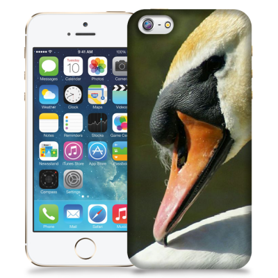 Skal till Apple iPhone 5/5S/SE - Svan