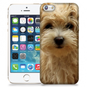 Skal till Apple iPhone 5/5S/SE - Terrier