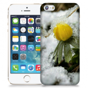 Skal till Apple iPhone 5/5S/SE - Vinterblomma