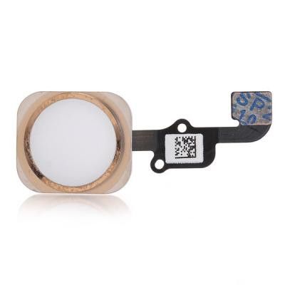 iPhone 6S/6S Plus Hemknapp med Flexkabel - Gold