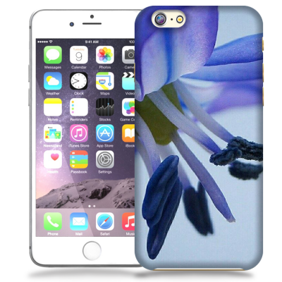 Skal till Apple iPhone 6 / 6S - Blåstjärna