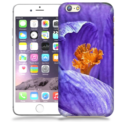 Skal till Apple iPhone 6 / 6S - Krokus
