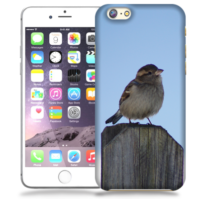 Skal till Apple iPhone 6(S) Plus - Gråsparv