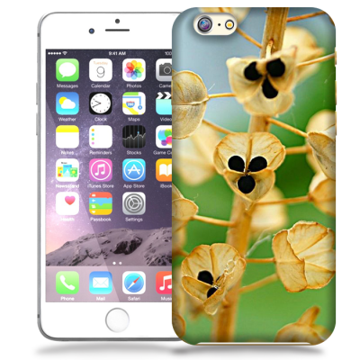 Skal till Apple iPhone 6(S) Plus - Pärlhyacint