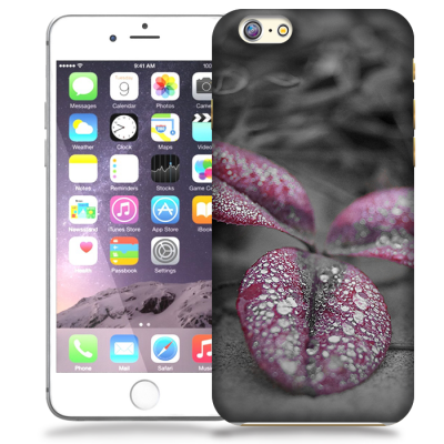 Skal till Apple iPhone 6 / 6S - Rödbladig klöver