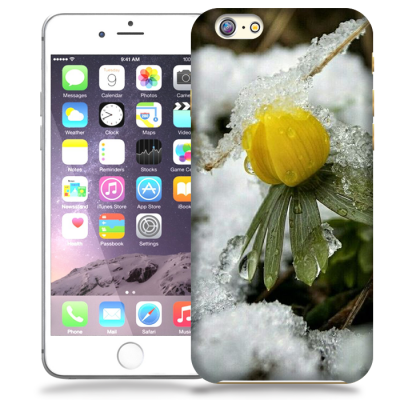 Skal till Apple iPhone 6 / 6S - Vinterblomma