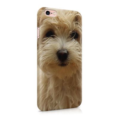 Skal till Apple iPhone 6(S)  - Terrier