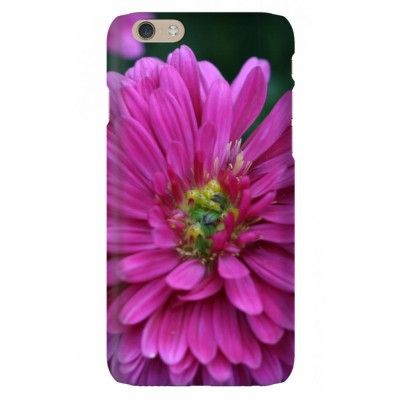 Trolsk - Blomma i närbild (iPhone 6)