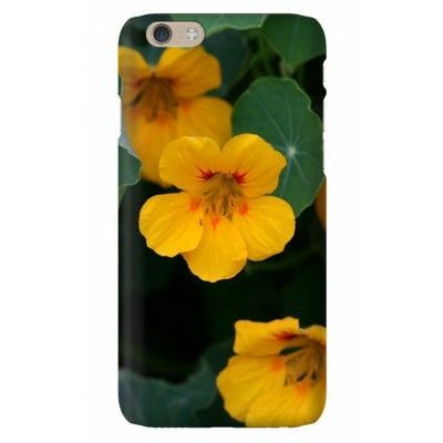 Trolsk - Krasse (iPhone 6)