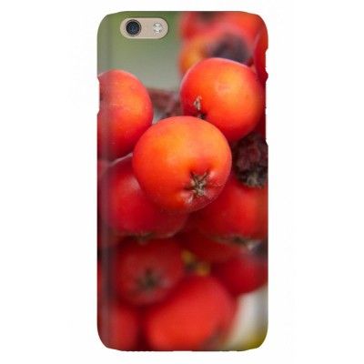 Trolsk - Rönnbär (iPhone 6)