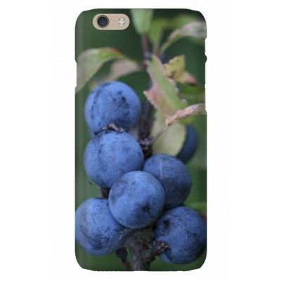 Trolsk - Slånbär (iPhone 6)